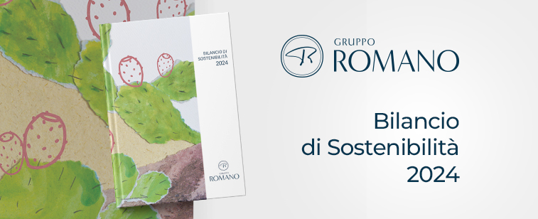 immagine news bilancio di sostenibilità 2024 del Gruppo Romano